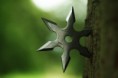 /album/fotogalerie-ninjutsu/shuriken-jpg/
