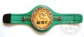 /album/boxerske-tituly/wbc-20mini-20belt-jpg1/